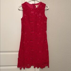 Miami Bold Magenta Lace Mini Dress